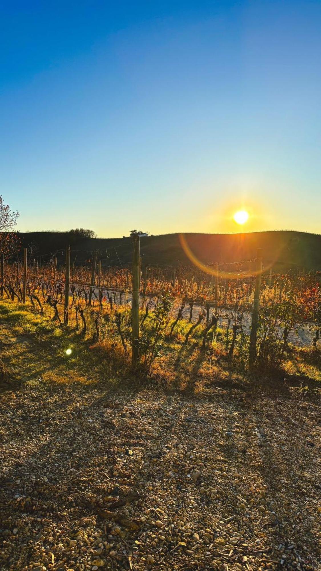 Tenuta Agricola La Cava- Cantina E Agriturismo San Damiano dʼAsti Esterno foto